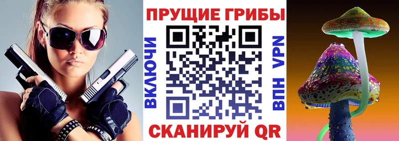 Купить где Сухой Лог Галлюциногенные грибы Cubensis